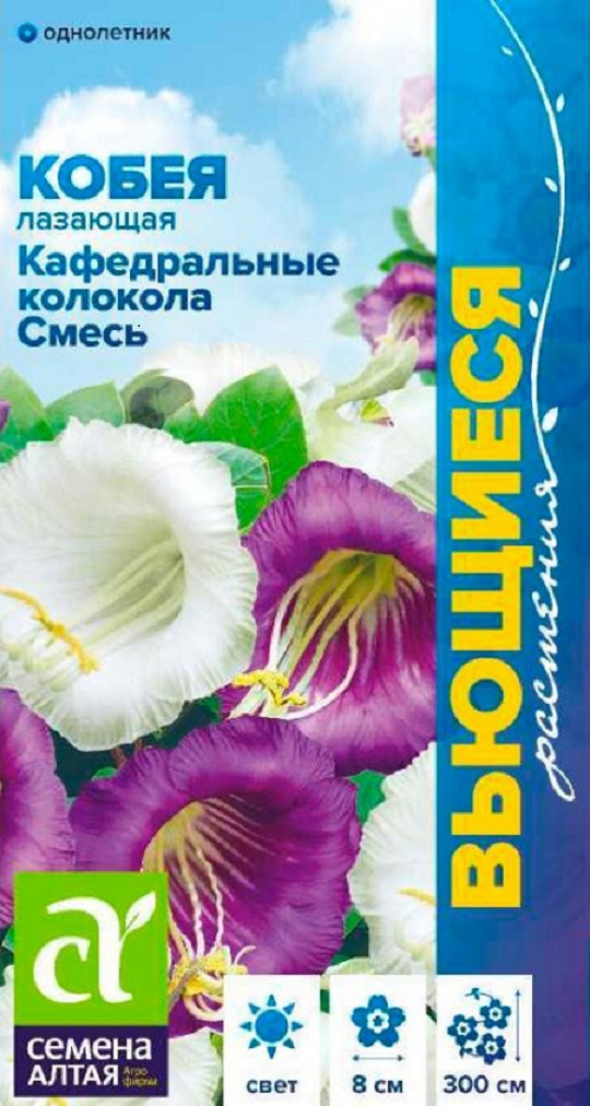 Семена кобея Семена Алтая Кафедральные Колокола Смесь 63230 1 уп., Семена Кобея Кафедральные колокола Смесь Лазающая Однолетние 5 шт./упак.
Семена кобея Семена Алтая Кафедральные Колокола Смесь 63230 1 уп., Семена Кобея Кафедральные колокола Смесь Лазающая Однолетние 5 шт./упак.
