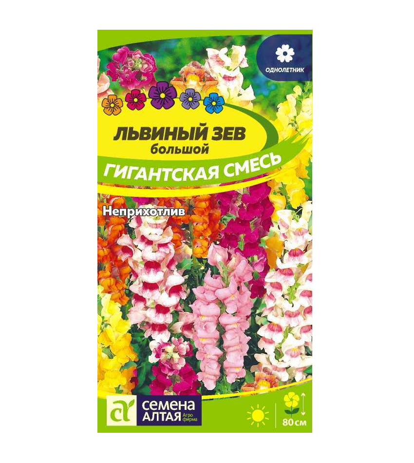 Семена львиный зев Семена Алтая Гигантская Смесь 63101 1 уп., Семена Львиный зев Гигантская смесь Однолетние 0,2 гр.
Семена львиный зев Семена Алтая Гигантская Смесь 63101 1 уп., Семена Львиный зев Гигантская смесь Однолетние 0,2 гр.