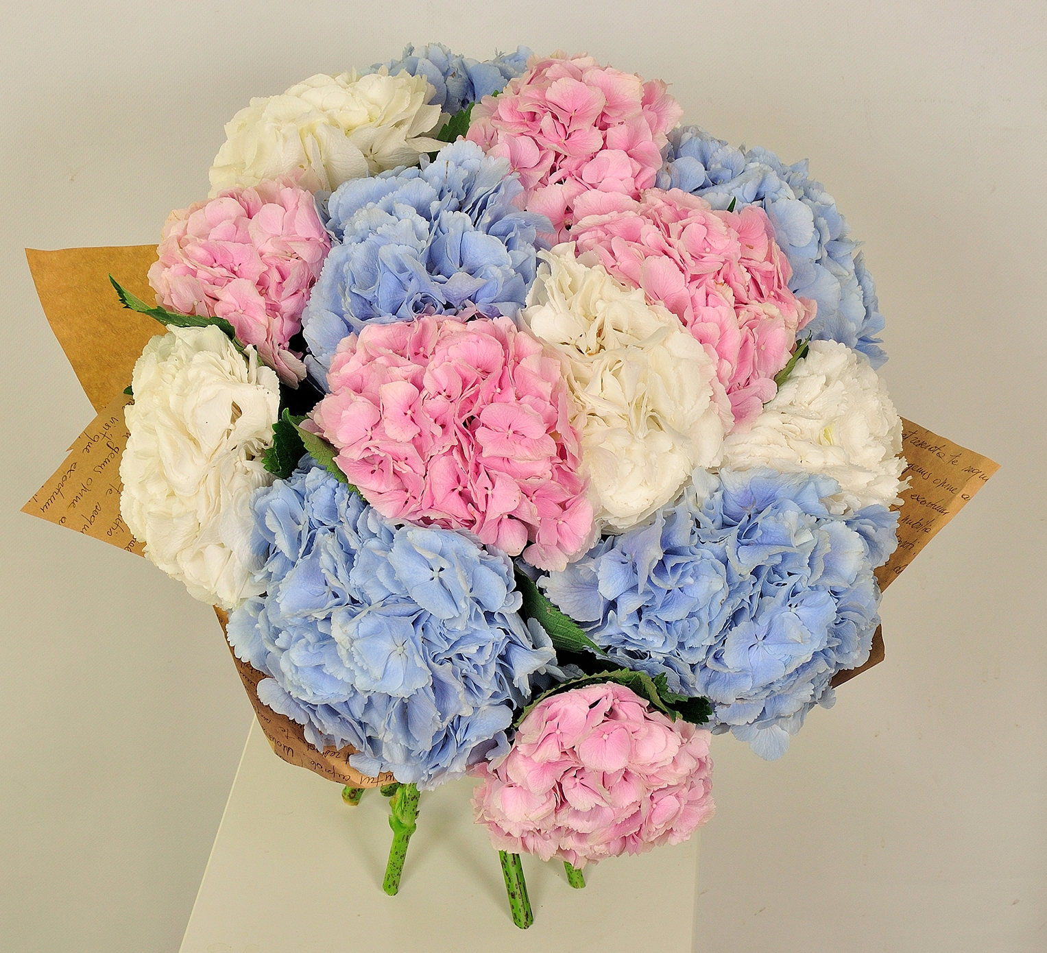 Букет цветов Studio Floristic гортензия 65 см разноцветный Летняя радость, Летняя радость
Букет цветов Studio Floristic гортензия 65 см разноцветный Летняя радость, Летняя радость