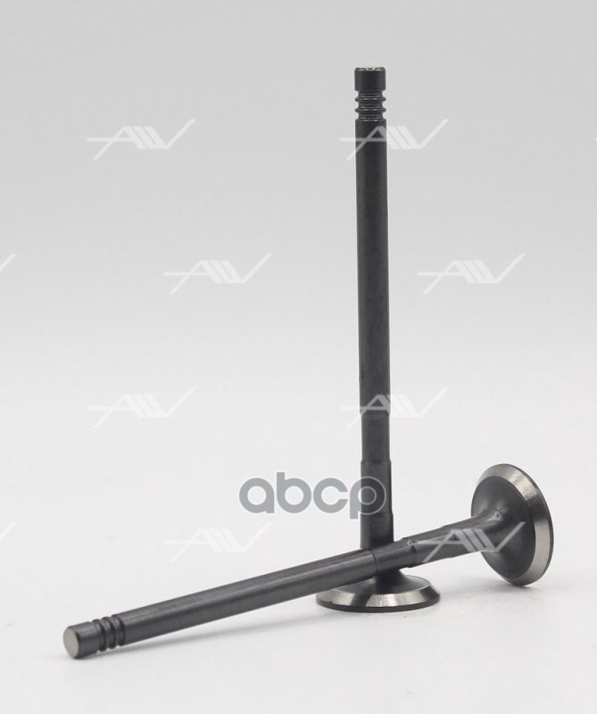 Клапан Вып Ford Fxjahwda... 1.41.6 16v 24.1x6x101.4 Autowelt Ve54008 Autowelt арт. VE54008
Клапан Вып Ford Fxjahwda... 1.41.6 16v 24.1x6x101.4 Autowelt Ve54008 Autowelt арт. VE54008