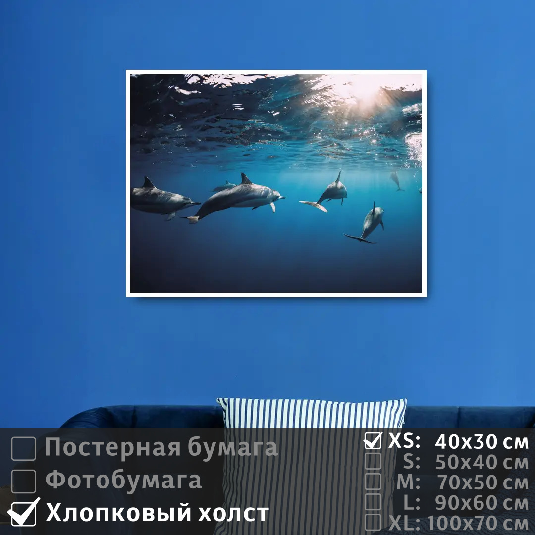 Постер на холсте ПолиЦентр Дельфины под водой плывут к солнечным лучам 40х30 см, ДельфиныПодВодойПлывутКСолнечнымЛучам
Постер на холсте ПолиЦентр Дельфины под водой плывут к солнечным лучам 40х30 см, ДельфиныПодВодойПлывутКСолнечнымЛучам