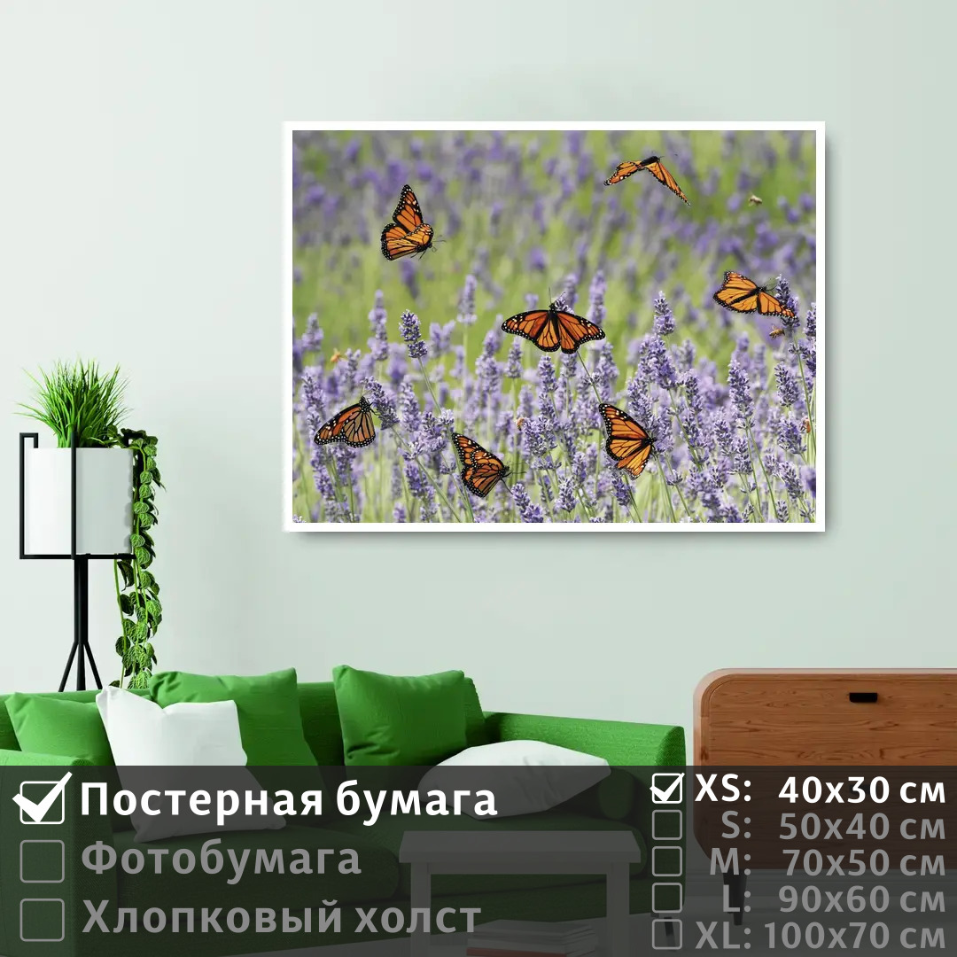 Постер на стену ПолиЦентр Бабочки пархают над лавандами 40х30 см, БабочкиПархаютНадЛавандами
Постер на стену ПолиЦентр Бабочки пархают над лавандами 40х30 см, БабочкиПархаютНадЛавандами