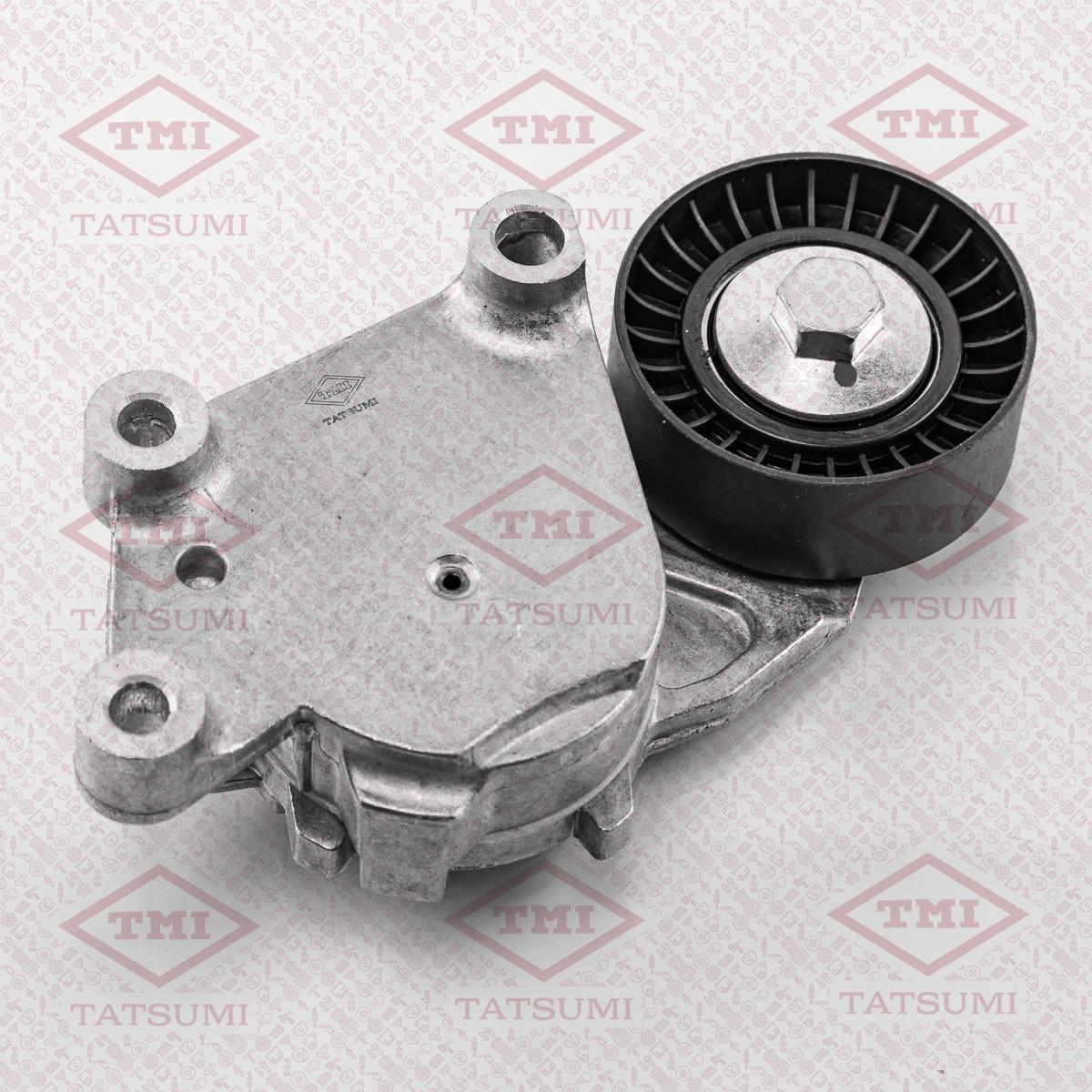 Ролик ремня приводного CITROEN/PEUGEOT/FORD/VOLVO/MAZDA 1.4/1.6 01- Tatsumi TFD1109
Ролик ремня приводного CITROEN/PEUGEOT/FORD/VOLVO/MAZDA 1.4/1.6 01- Tatsumi TFD1109