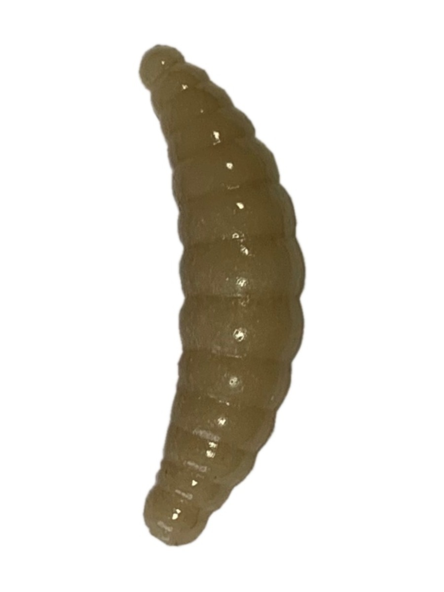 Силиконовая приманка TROUT BAIT в банке, MAGGOT 30, СЫР, COL. 9 (Beige-Бежевый), Разноцветный
Силиконовая приманка TROUT BAIT в банке, MAGGOT 30, СЫР, COL. 9 (Beige-Бежевый), Разноцветный
