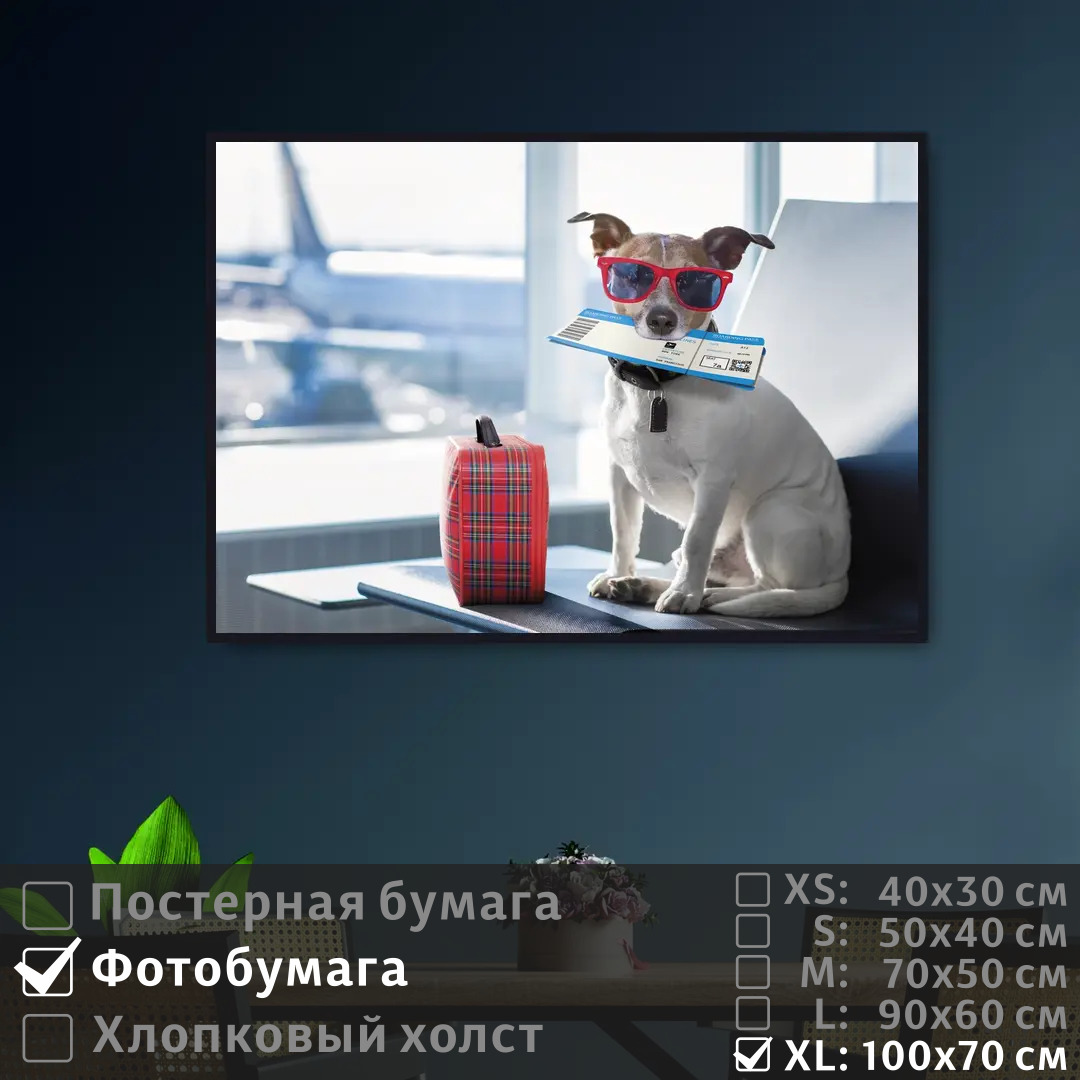 Постер на фотобумаге ПолиЦентр Собака в очках ждет самолет 100х70 см, СобакаВОчкахЖдетСамолет1
Постер на фотобумаге ПолиЦентр Собака в очках ждет самолет 100х70 см, СобакаВОчкахЖдетСамолет1