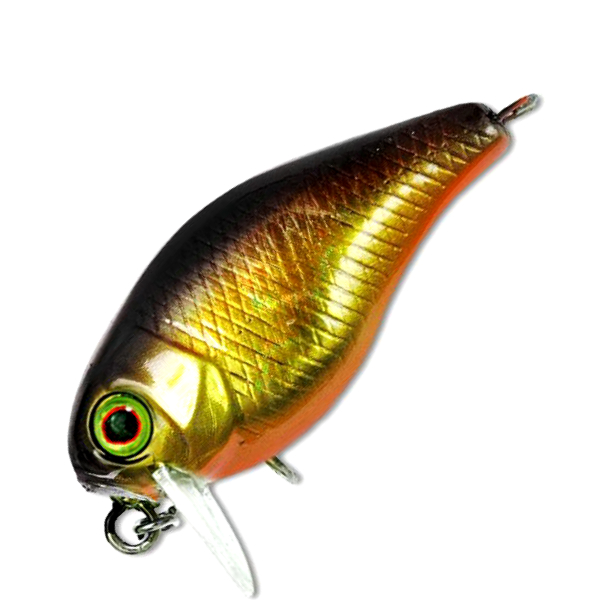Воблер Jackall CHUBBY 41F SSR # HL Gold & Black, Золотистый;коричневый;оранжевый, CHUBBY
Воблер Jackall CHUBBY 41F SSR # HL Gold & Black, Золотистый;коричневый;оранжевый, CHUBBY