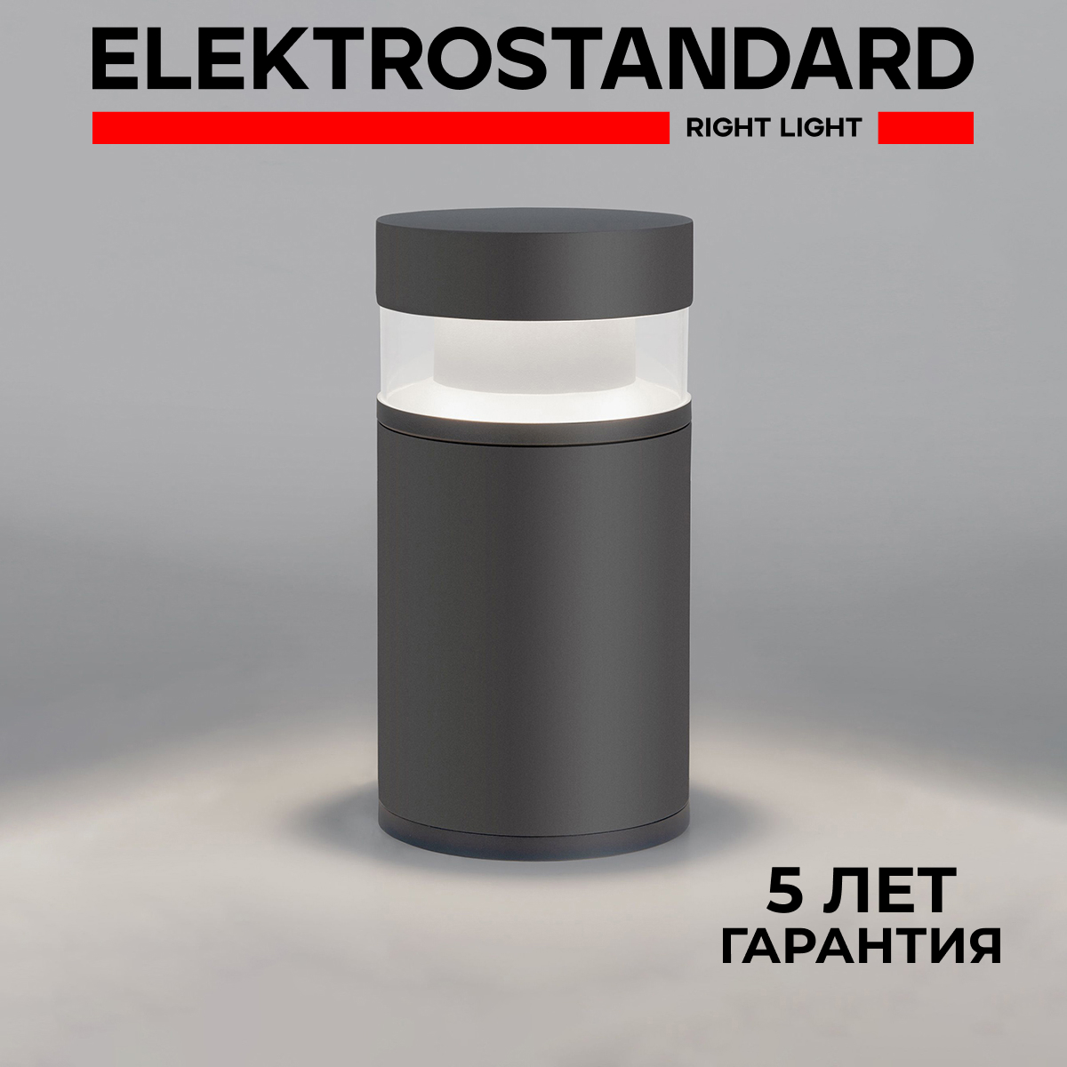 Ландшафтный светодиодный светильник Elektrostandard Techno 1531 LED 12W 4000К серый, Techno
Ландшафтный светодиодный светильник Elektrostandard Techno 1531 LED 12W 4000К серый, Techno
