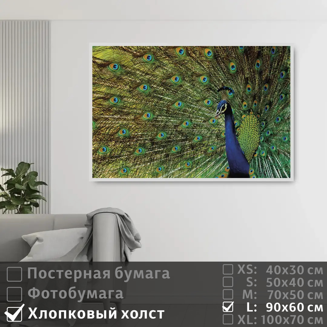 Постер на холсте ПолиЦентр Павлин с распущенным хвостом 90х60 см, ПавлинСРаспущеннымХвостом
Постер на холсте ПолиЦентр Павлин с распущенным хвостом 90х60 см, ПавлинСРаспущеннымХвостом