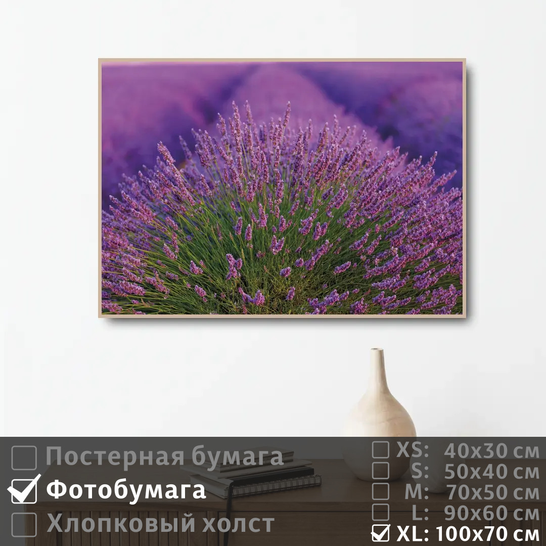 Постер на фотобумаге ПолиЦентр Лавандовое поле во франции 100х70 см, ЛавандовоеПолеВоФранции1
Постер на фотобумаге ПолиЦентр Лавандовое поле во франции 100х70 см, ЛавандовоеПолеВоФранции1