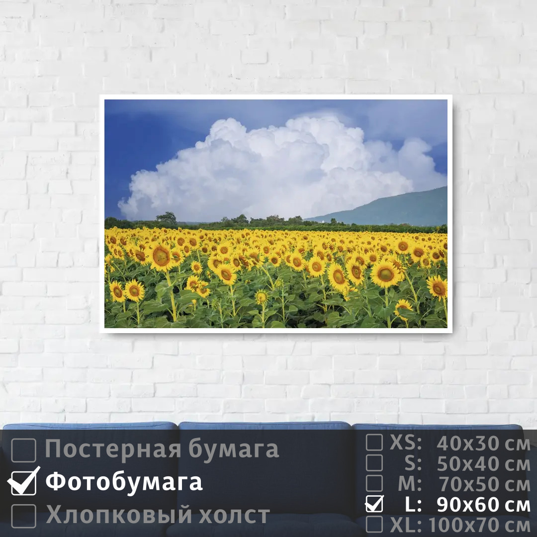 Постер на фотобумаге ПолиЦентр Подсолнухи под голубым небом с облаками 90х60 см, ПодсолнухиПодГолубымНебомСОблаками
Постер на фотобумаге ПолиЦентр Подсолнухи под голубым небом с облаками 90х60 см, ПодсолнухиПодГолубымНебомСОблаками