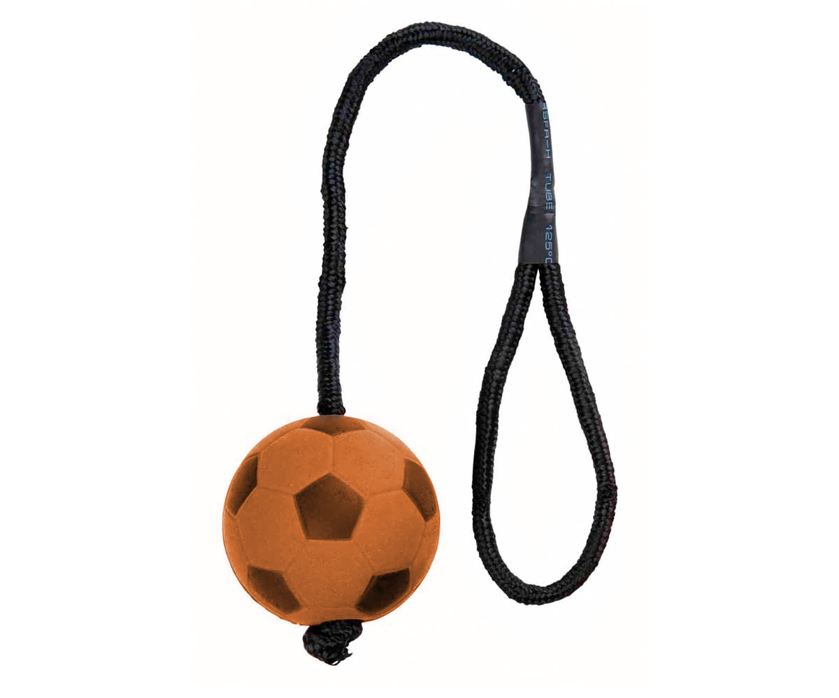 Игрушка для собак Nobby мяч футбольный, на веревке, 9см, Мяч футбольный
Игрушка для собак Nobby мяч футбольный, на веревке, 9см, Мяч футбольный