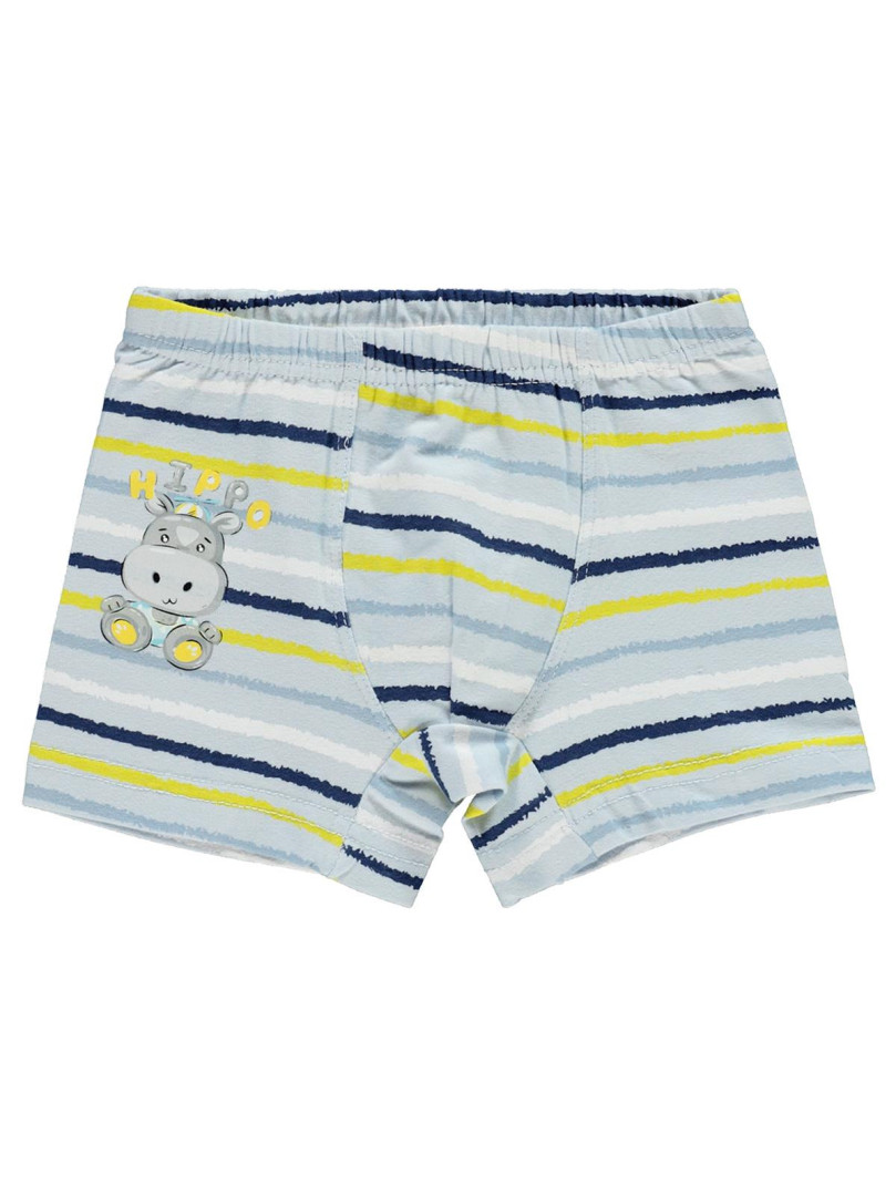 Боксеры Civil р. 6-7 лет Голубой, D279073HPY21-3 (доставка из-за рубежа), D279073HPY21-3
Боксеры Civil р. 6-7 лет Голубой, D279073HPY21-3 (доставка из-за рубежа), D279073HPY21-3