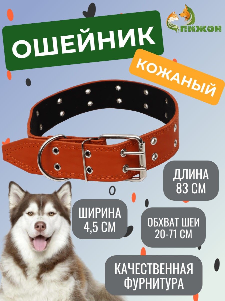 Ошейник Пижон кожаный на синтепоне, безразмерный, 83 х 4.5 см, оранжевый, кожаный на синтепоне, безразмерный
Ошейник Пижон кожаный на синтепоне, безразмерный, 83 х 4.5 см, оранжевый, кожаный на синтепоне, безразмерный