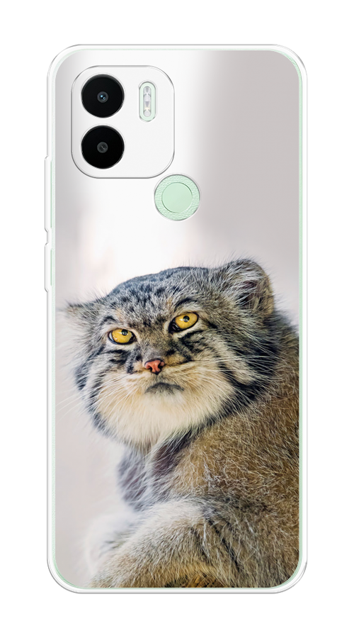 Чехол на Xiaomi Redmi A1+, Xiaomi Redmi A2+, Poco C51/C50 "Кот манул 1", Серый;белый;желтый, 319450-1
Чехол на Xiaomi Redmi A1+, Xiaomi Redmi A2+, Poco C51/C50 "Кот манул 1", Серый;белый;желтый, 319450-1