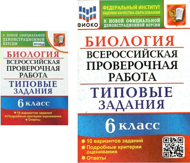 Биология 6 класс ВПР Типовые задания 10 вариантов заданий Подробные критерии оценивания, 1763877
Биология 6 класс ВПР Типовые задания 10 вариантов заданий Подробные критерии оценивания, 1763877