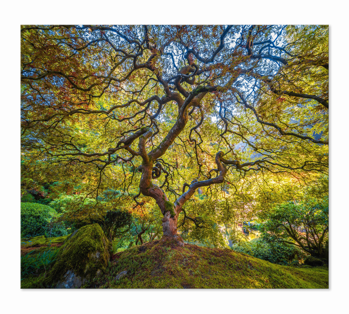 Картина интерьерная на синтетическом холсте Poly Print Art ZK01001843/S/2 50х60 см
Картина интерьерная на синтетическом холсте Poly Print Art ZK01001843/S/2 50х60 см