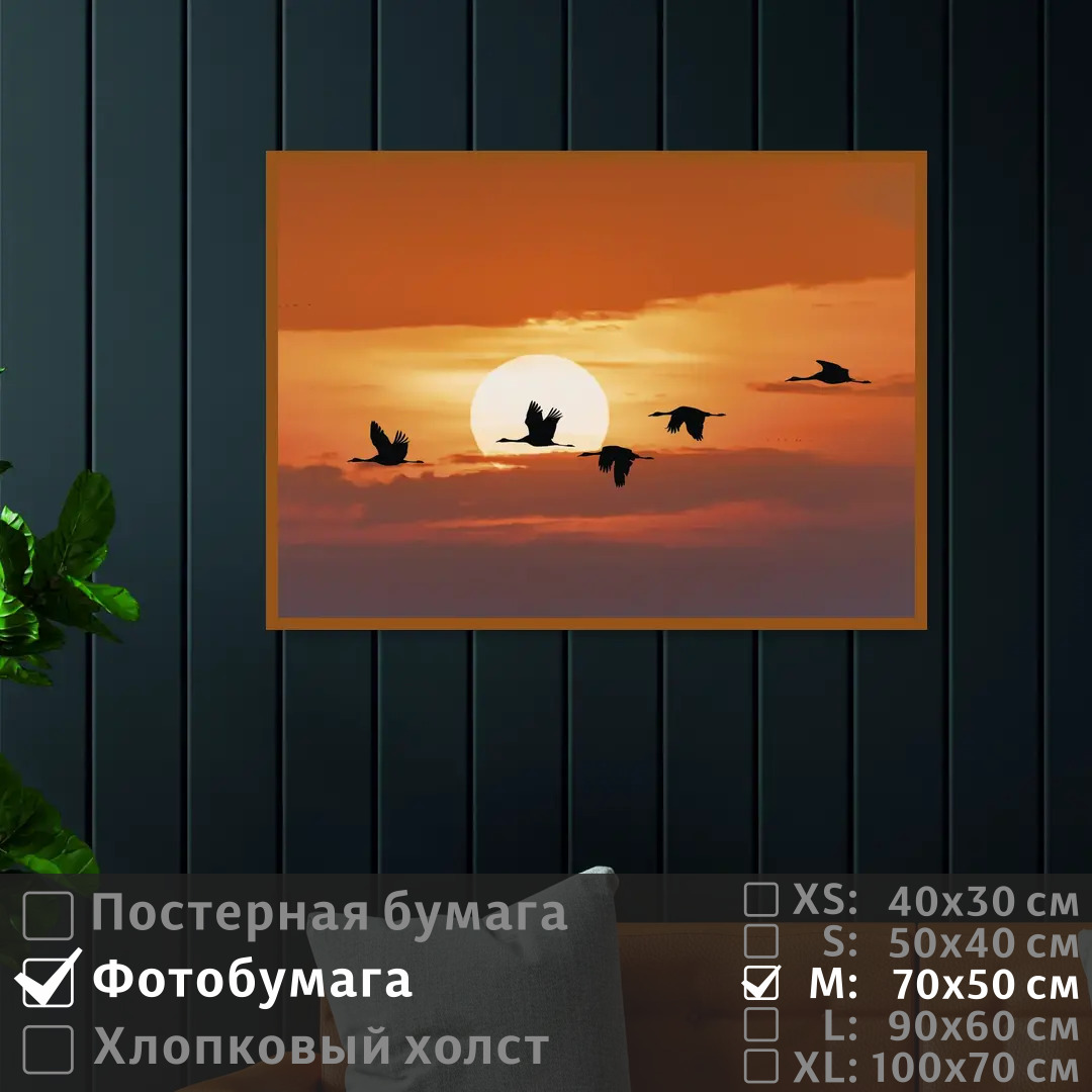 Постер на фотобумаге ПолиЦентр Журавли на закате солнца 70х50 см, ЖуравлиНаЗакатеСолнца
Постер на фотобумаге ПолиЦентр Журавли на закате солнца 70х50 см, ЖуравлиНаЗакатеСолнца