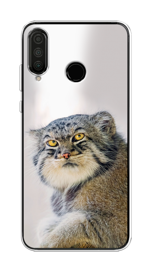 Чехол на Huawei P30 Lite, Honor 20S/20 Lite 2020 "Кот манул 1", Серый;белый;желтый, 610750-1
Чехол на Huawei P30 Lite, Honor 20S/20 Lite 2020 "Кот манул 1", Серый;белый;желтый, 610750-1