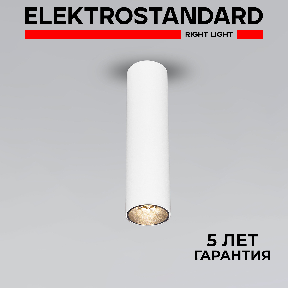 Накладной потолочный LED светильник Elektrostandard Pika 25031/LED 6W 4200К белый, Pika
Накладной потолочный LED светильник Elektrostandard Pika 25031/LED 6W 4200К белый, Pika
