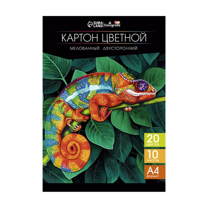 Calligrata Картон цветной двусторонний А4, 10 листов, 20 цветов, Calligrata TOP мелованный, Разноцветный
Calligrata Картон цветной двусторонний А4, 10 листов, 20 цветов, Calligrata TOP мелованный, Разноцветный