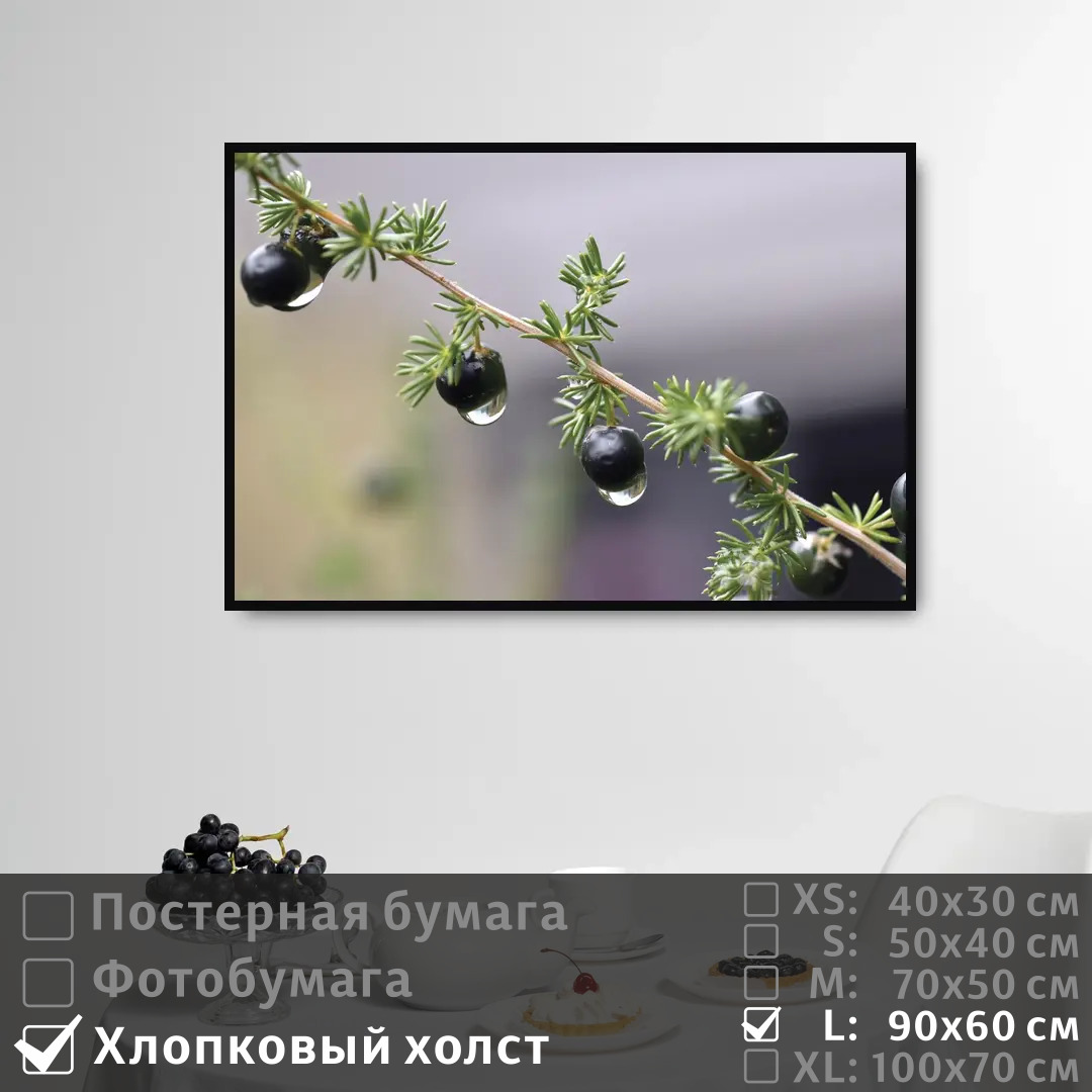 Постер на холсте ПолиЦентр Ветка с ягодой после дождя 90х60 см, ВеткаСЯгодойПослеДождя
Постер на холсте ПолиЦентр Ветка с ягодой после дождя 90х60 см, ВеткаСЯгодойПослеДождя