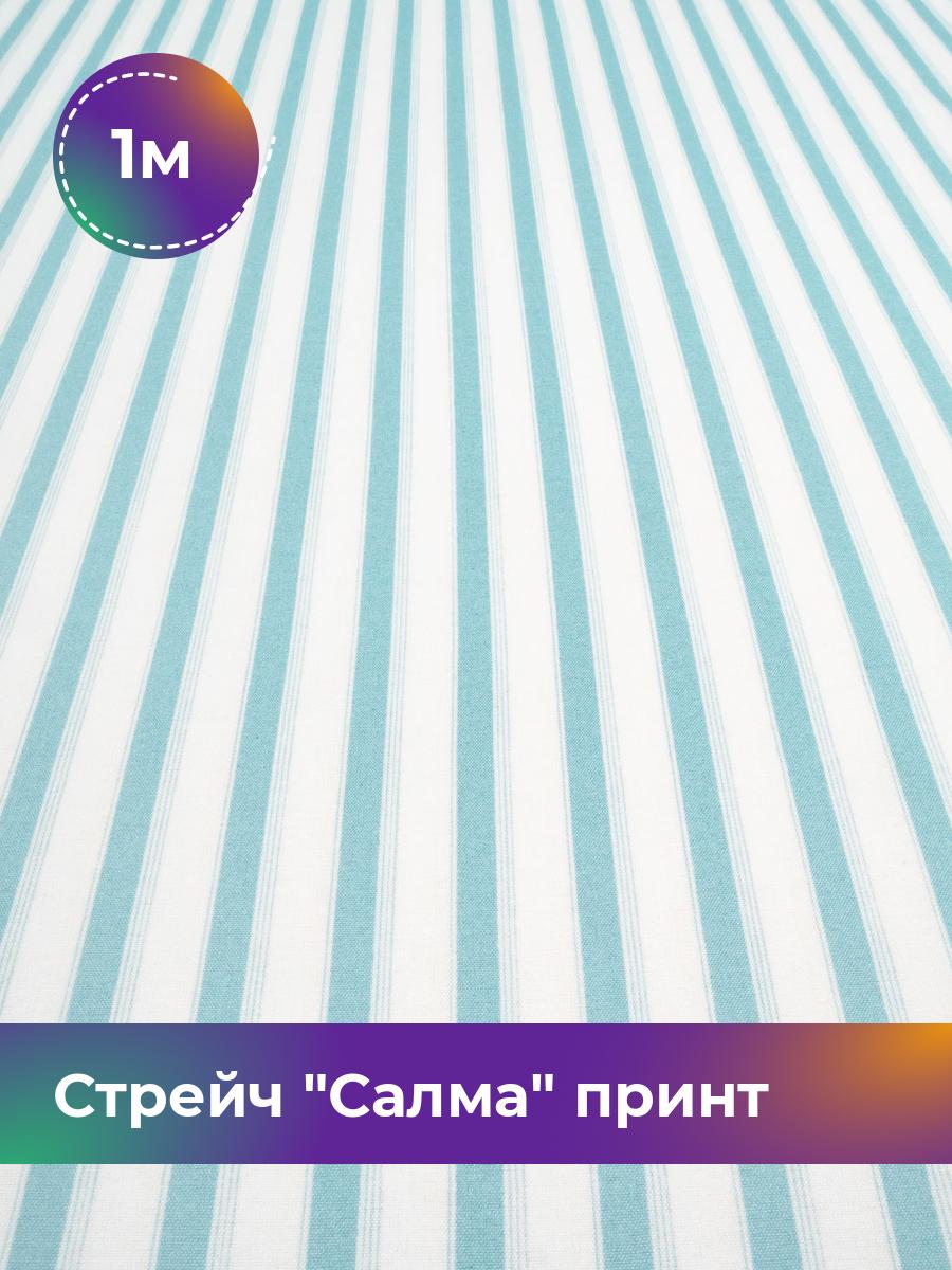 Ткань Стрейч Салма принт Shilla, отрез 1 м * 150 см, мультиколор 008, Разноцветный, 17981070
Ткань Стрейч Салма принт Shilla, отрез 1 м * 150 см, мультиколор 008, Разноцветный, 17981070