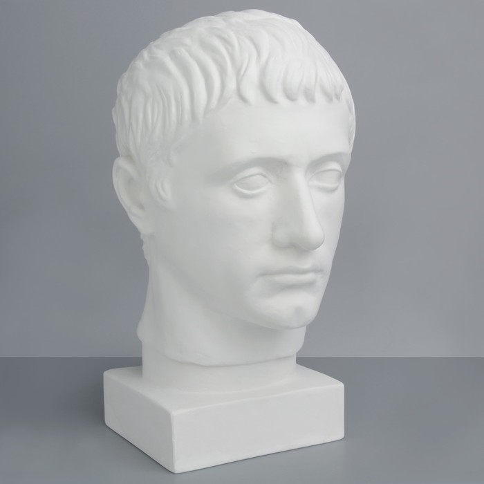 Гипсовая фигура, голова Германика, 19 х 25 х 36 см
Гипсовая фигура, голова Германика, 19 х 25 х 36 см