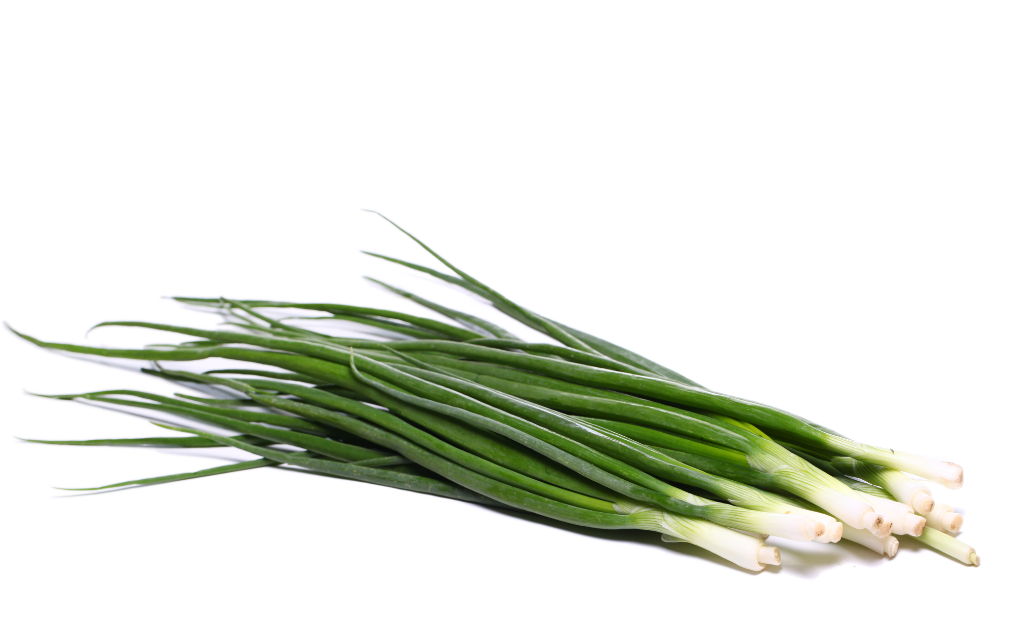 Лук зеленый 0,1 кг
Лук зеленый 0,1 кг