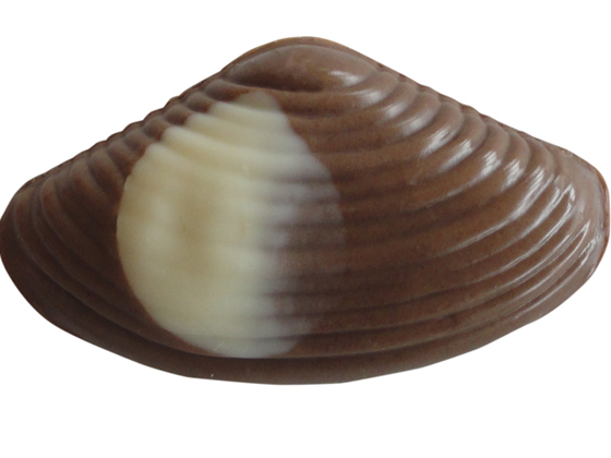 фото Набор конфет melbon морские ракушки молочный и белый шоколад сундучок 125 г