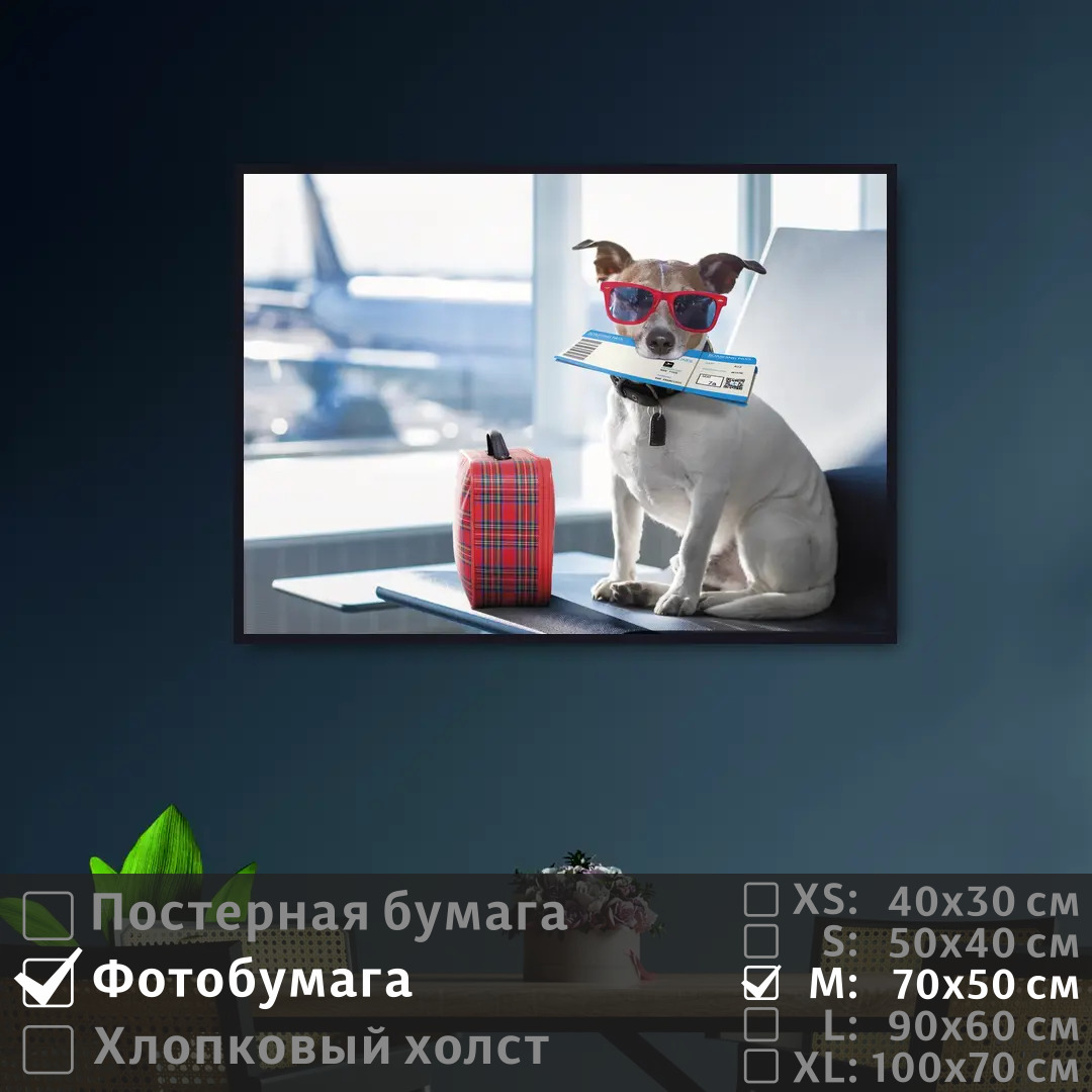 Постер на фотобумаге ПолиЦентр Собака в очках ждет самолет 70х50 см, СобакаВОчкахЖдетСамолет
Постер на фотобумаге ПолиЦентр Собака в очках ждет самолет 70х50 см, СобакаВОчкахЖдетСамолет
