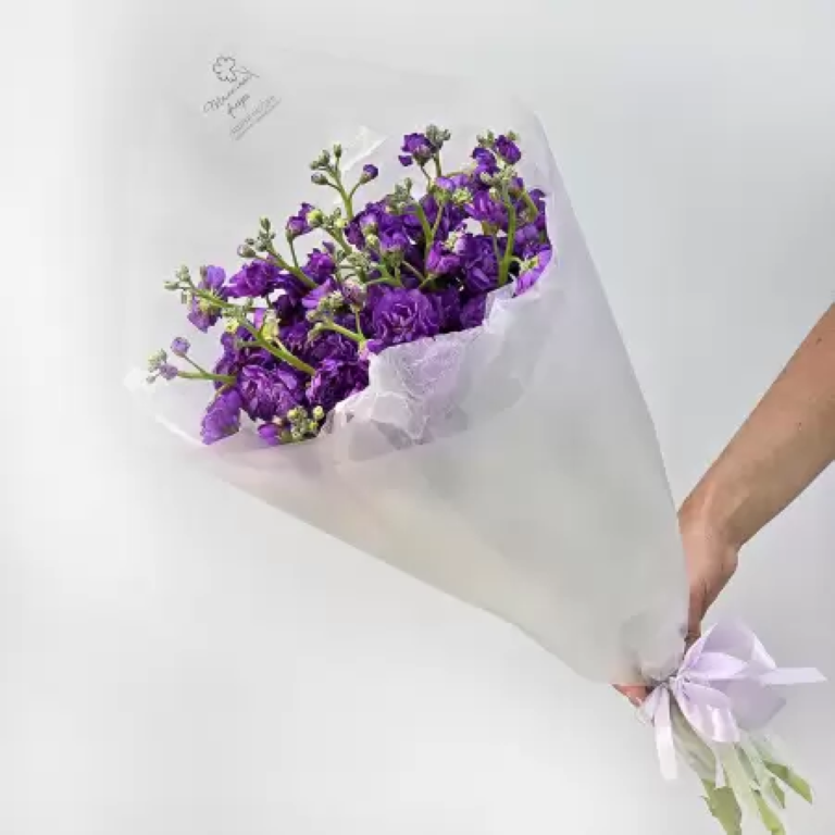 Букет цветов, Талисман Флора, Лиловость маттиол, 25см x 50см, фиолетовая, B2416
Букет цветов, Талисман Флора, Лиловость маттиол, 25см x 50см, фиолетовая, B2416