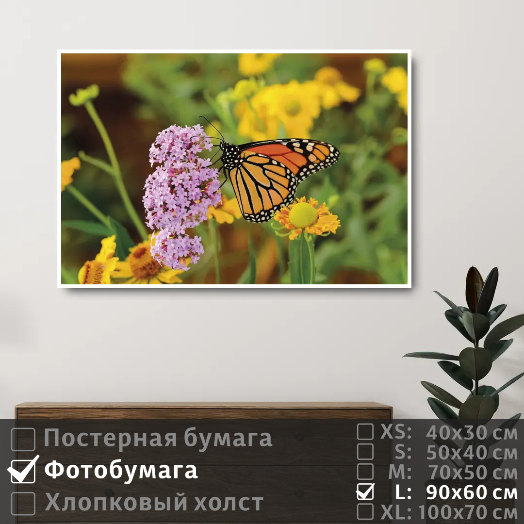 Постер на фотобумаге ПолиЦентр Бабочка на полевых сиреневых цветах 90х60 см, БабочкаНаПолевыхСиреневыхЦветах
Постер на фотобумаге ПолиЦентр Бабочка на полевых сиреневых цветах 90х60 см, БабочкаНаПолевыхСиреневыхЦветах