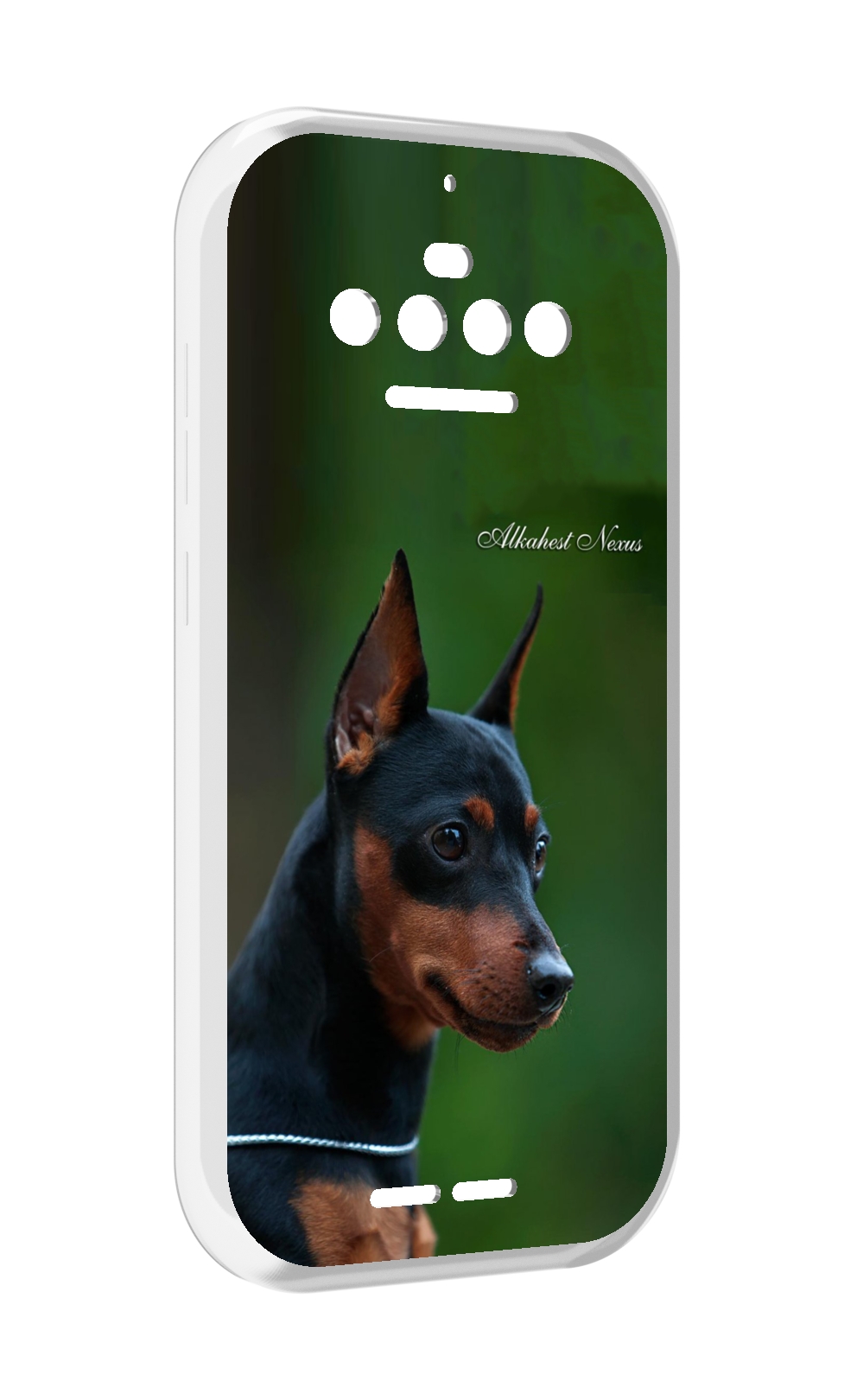 Чехол MyPads цвергпинчер черпинчер для Oukitel F150 R2022, Прозрачный, Tocco
Чехол MyPads цвергпинчер черпинчер для Oukitel F150 R2022, Прозрачный, Tocco