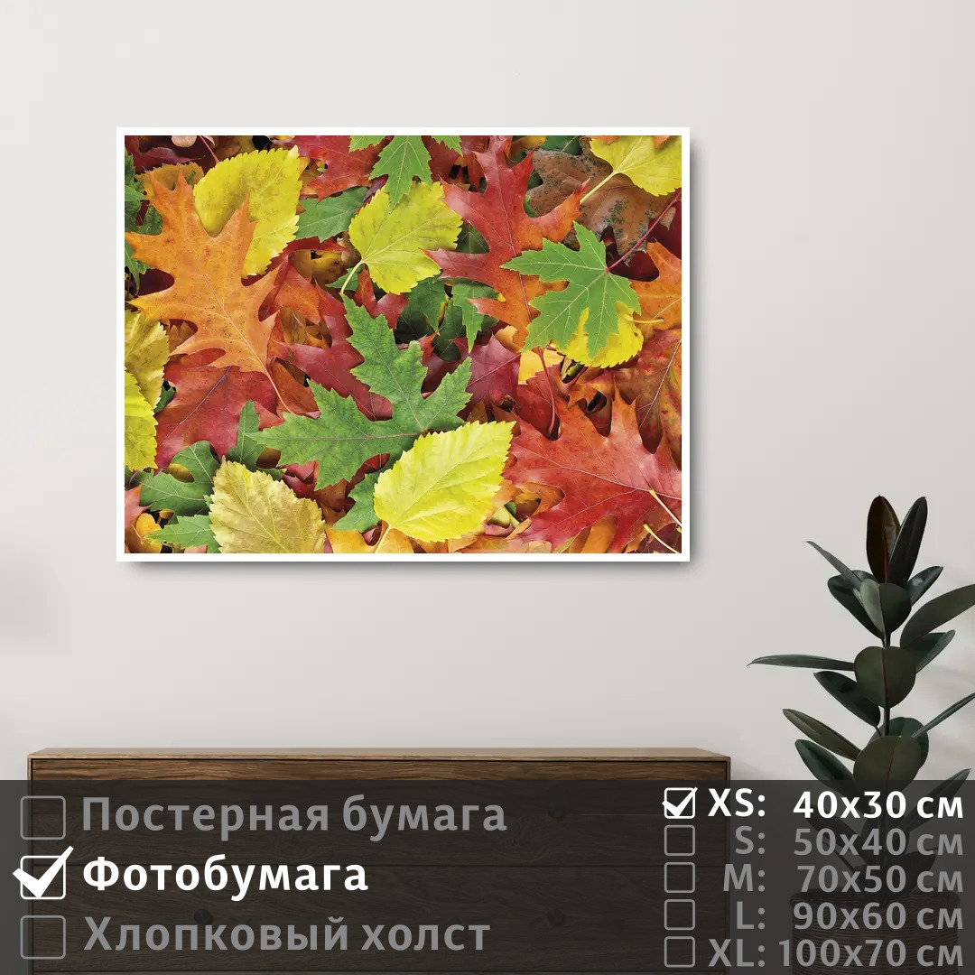 Постер на фотобумаге ПолиЦентр Осенние красочные листья 40х30 см, ОсенниеКрасочныеЛистья
Постер на фотобумаге ПолиЦентр Осенние красочные листья 40х30 см, ОсенниеКрасочныеЛистья