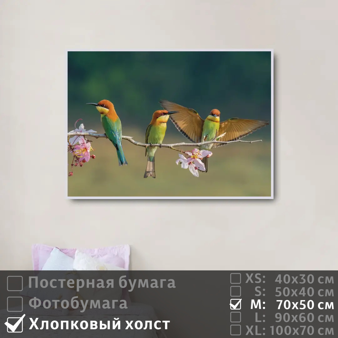 Постер на холсте ПолиЦентр Птицы пчелоеды на цветущей ветке 70х50 см, ПтицыПчелоедыНаЦветущейВетке
Постер на холсте ПолиЦентр Птицы пчелоеды на цветущей ветке 70х50 см, ПтицыПчелоедыНаЦветущейВетке