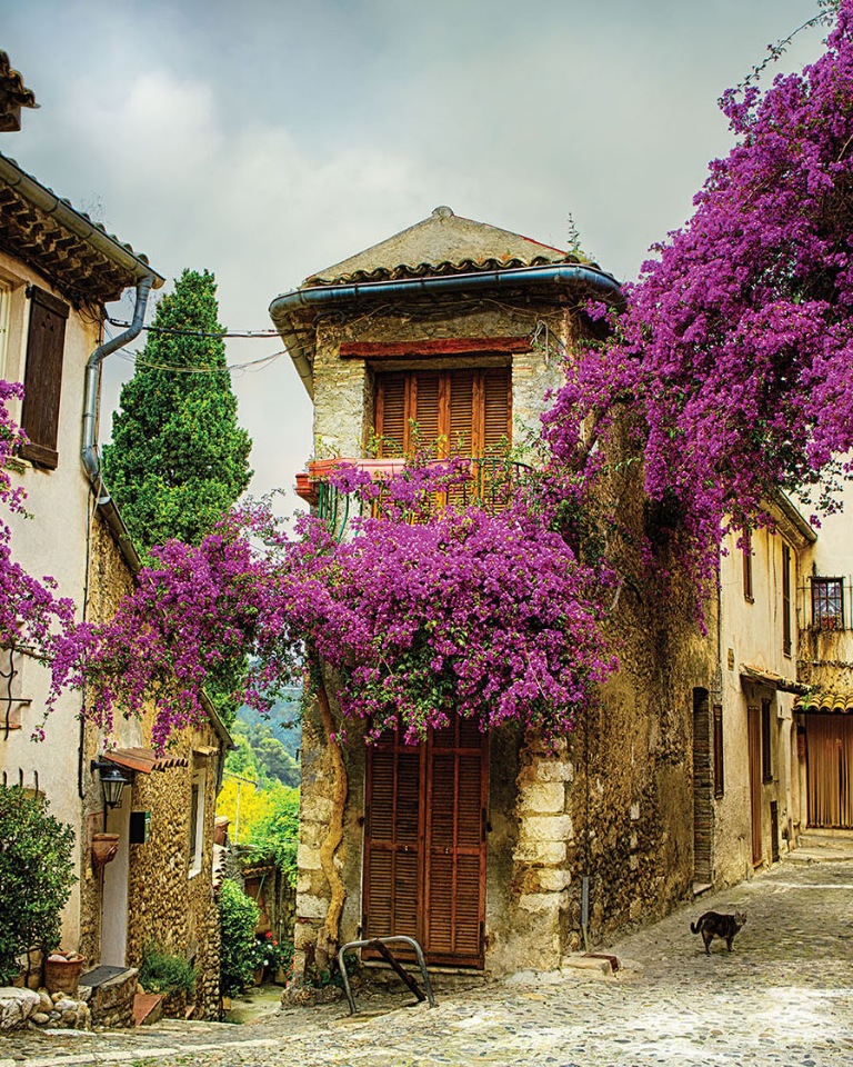 Фотообои For Wall 11755V4
Фотообои For Wall 11755V4