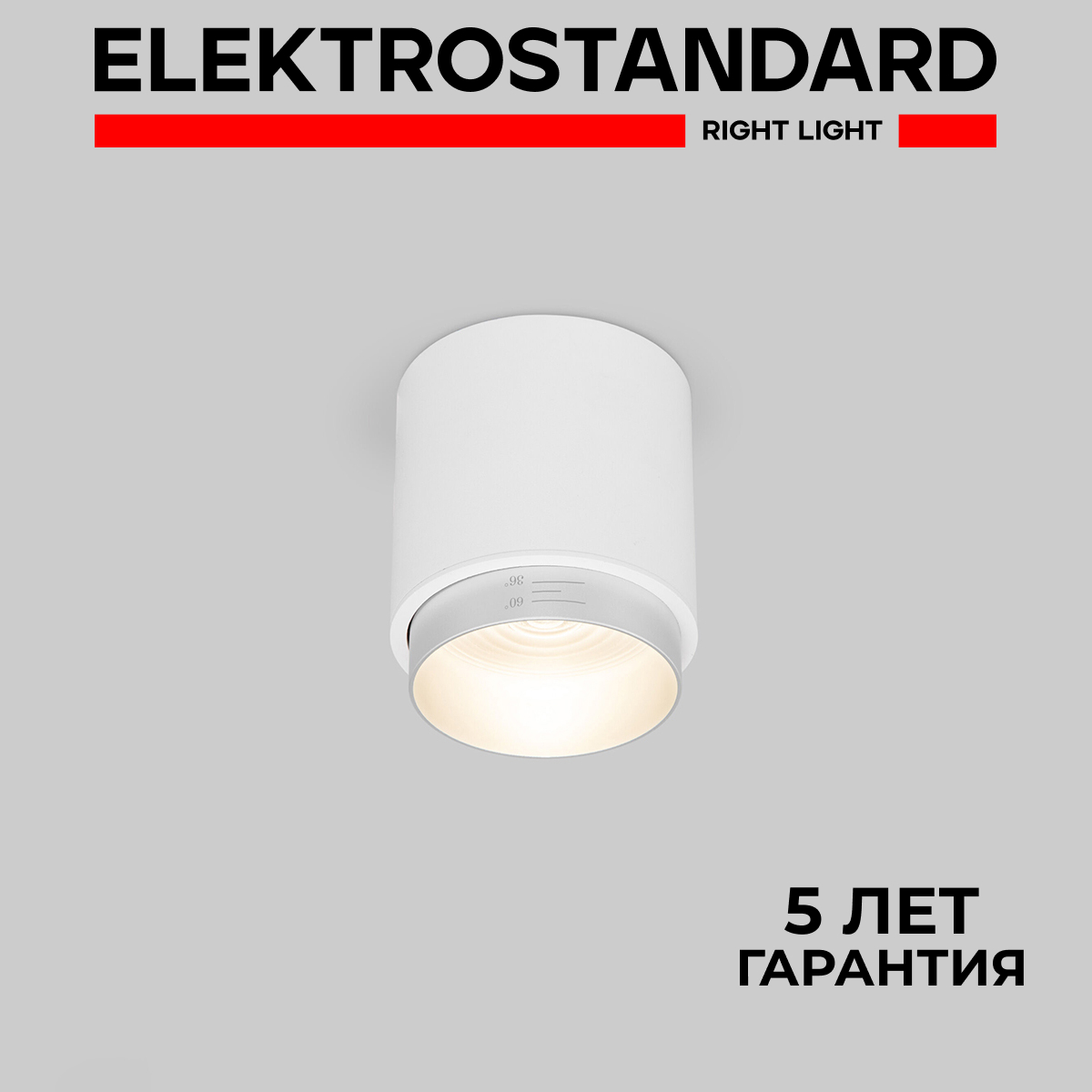 Накладной светодиодный светильник Elektrostandard Cors 25032/LED 10W 4200К белый/серебро, Cors точка 190923
Накладной светодиодный светильник Elektrostandard Cors 25032/LED 10W 4200К белый/серебро, Cors точка 190923