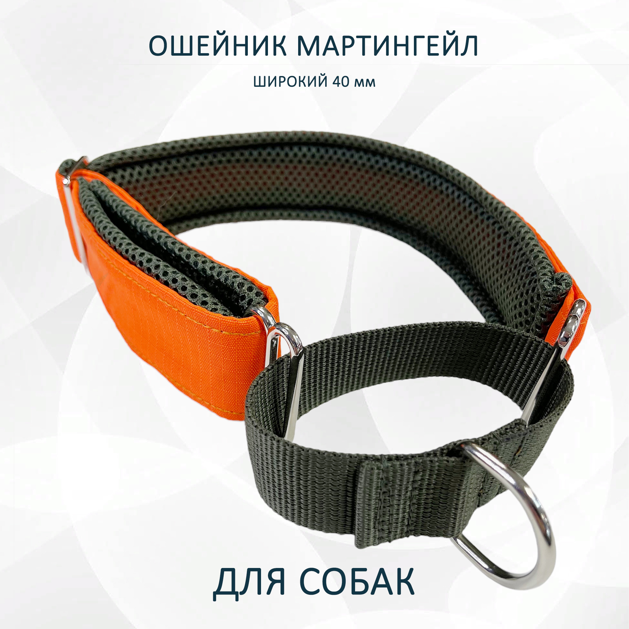 Ошейник для собак totemica, полуудавка, зелёно-оранжевый, металл, нейлон, S, col3359S
Ошейник для собак totemica, полуудавка, зелёно-оранжевый, металл, нейлон, S, col3359S