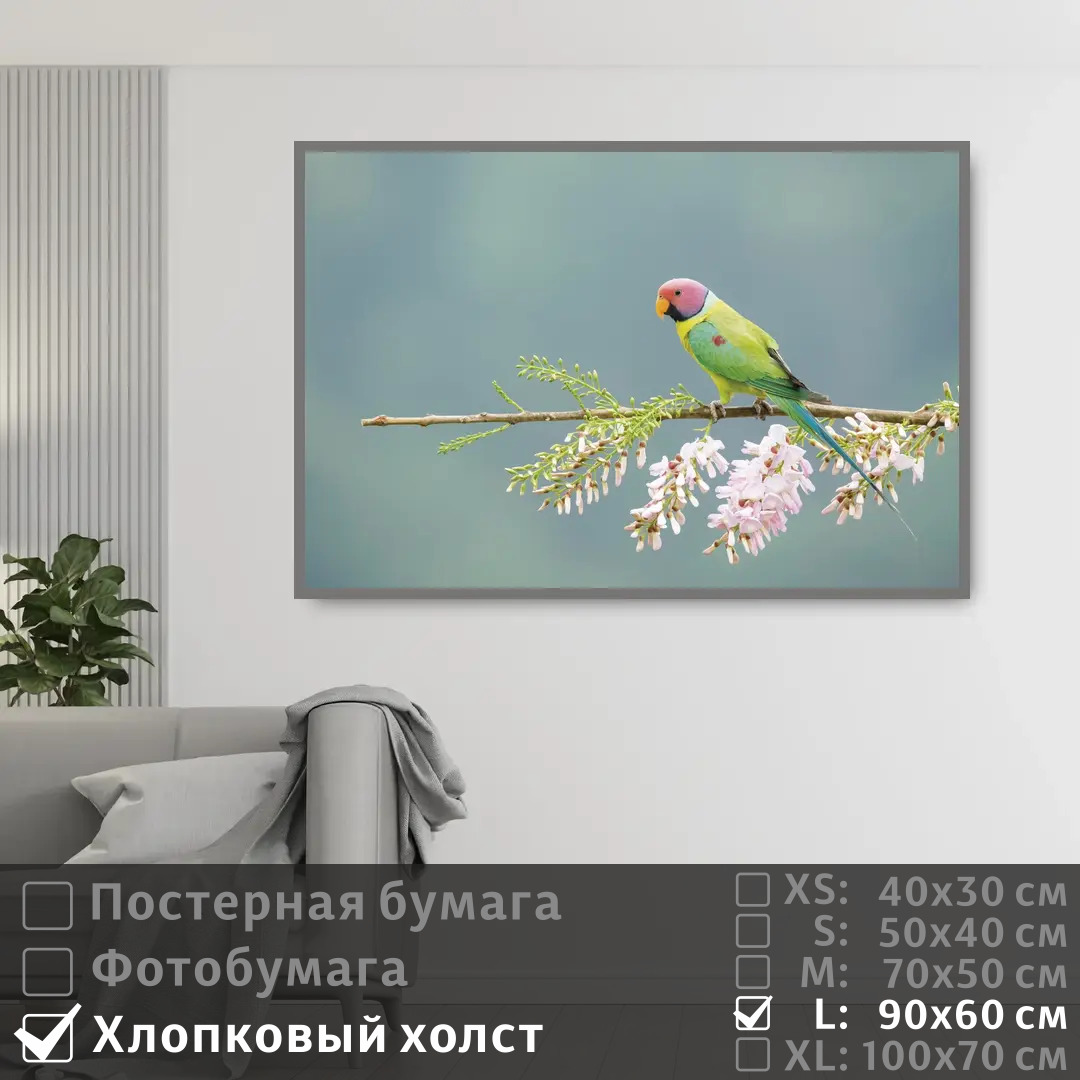 Постер на холсте ПолиЦентр Попугай сидит на цветущей ветке 90х60 см, ПопугайСидитНаЦветущейВетке
Постер на холсте ПолиЦентр Попугай сидит на цветущей ветке 90х60 см, ПопугайСидитНаЦветущейВетке