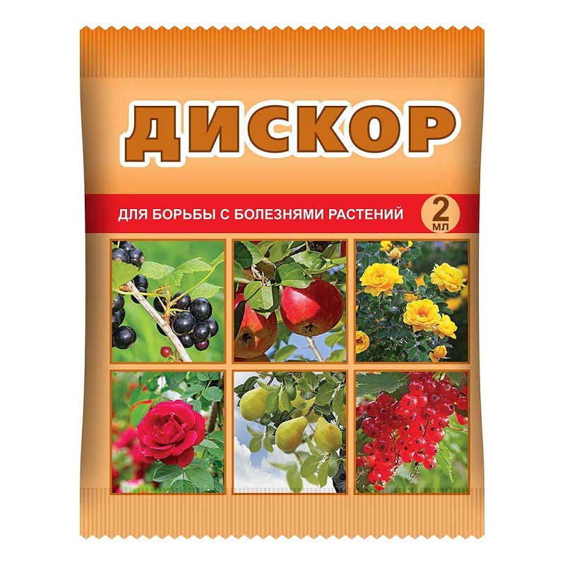 Фунгицид ВХ Дискор для плодово-цветочных культур комплексный 2мл (уп. 20 шт) (20 шт.), Дискор
Фунгицид ВХ Дискор для плодово-цветочных культур комплексный 2мл (уп. 20 шт) (20 шт.), Дискор