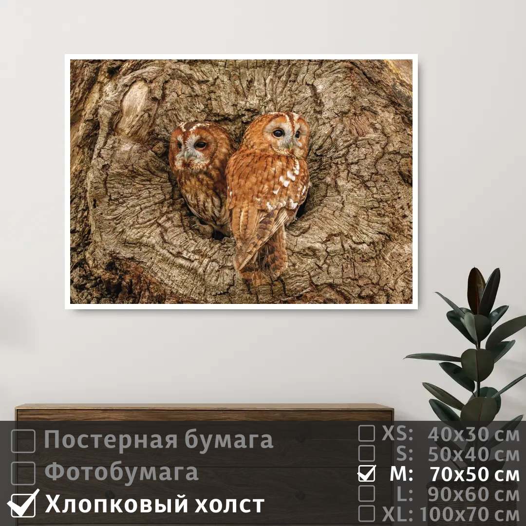 Постер на холсте ПолиЦентр Две совы в дупле дерева 70х50 см, ДвеСовыВДуплеДерева
Постер на холсте ПолиЦентр Две совы в дупле дерева 70х50 см, ДвеСовыВДуплеДерева