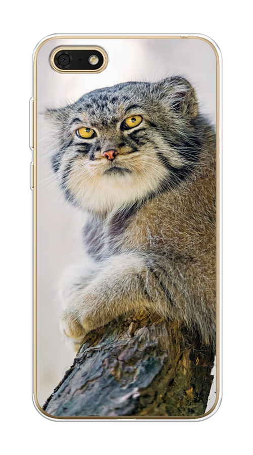 Чехол на Honor 7A/7A Prime/Y5 Prime 2018/Y5 2018 "Кот манул 1", Серый;белый;желтый, 65950-1
Чехол на Honor 7A/7A Prime/Y5 Prime 2018/Y5 2018 "Кот манул 1", Серый;белый;желтый, 65950-1