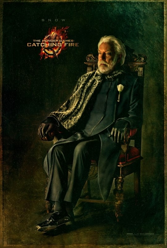 Постер к фильму "Голодные игры: И вспыхнет пламя" (The Hunger Games Catching Fire) 50x70 с
Постер к фильму "Голодные игры: И вспыхнет пламя" (The Hunger Games Catching Fire) 50x70 с