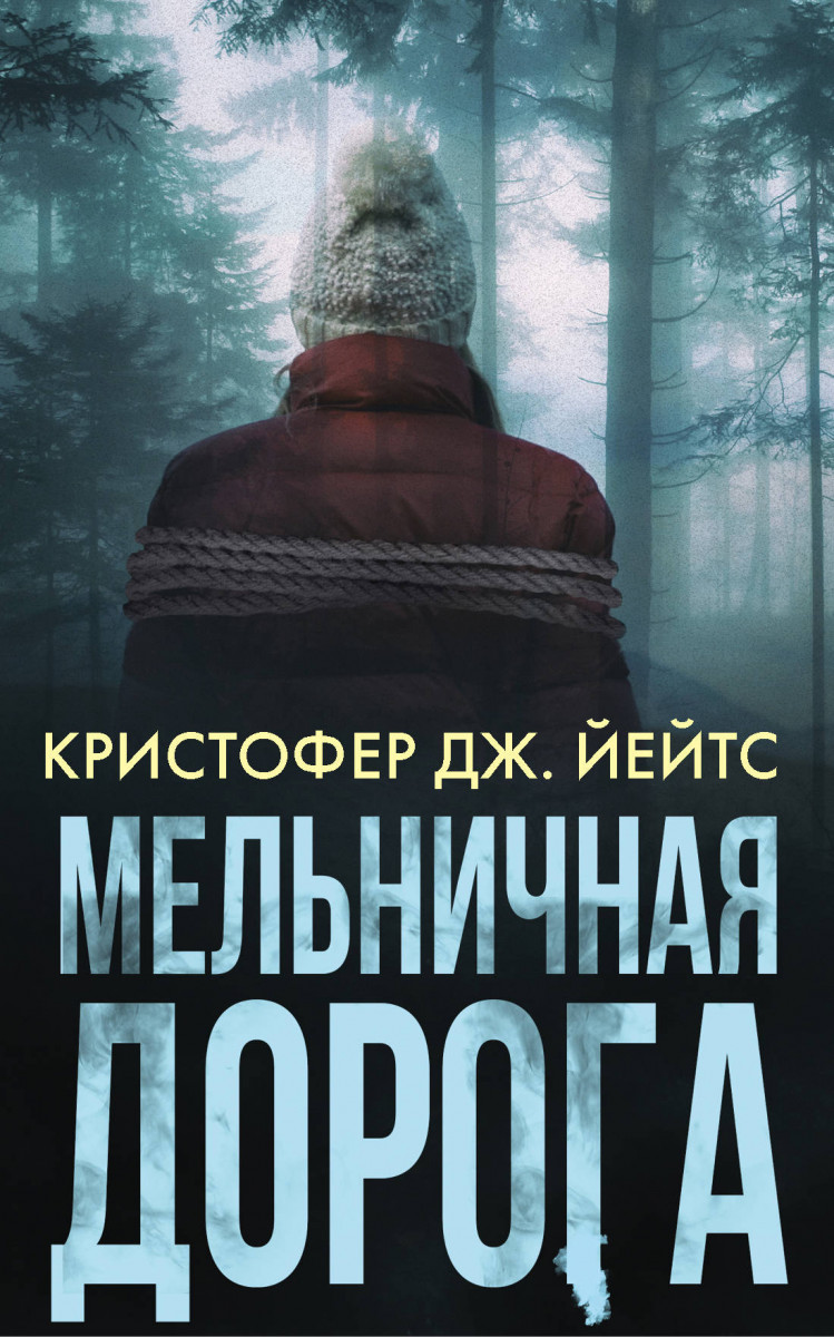 фото Книга мельничная дорога аст