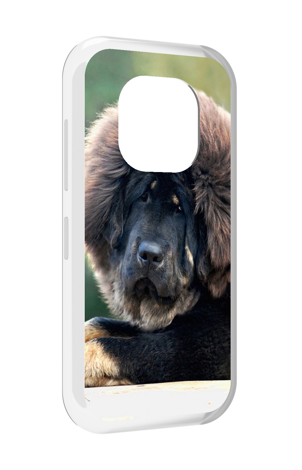 Чехол задняя-панель-накладка-бампер MyPads тибетскии мастиф для Doogee V20 противоударный, Прозрачный, Tocco
Чехол задняя-панель-накладка-бампер MyPads тибетскии мастиф для Doogee V20 противоударный, Прозрачный, Tocco