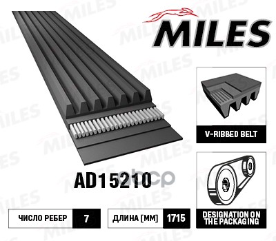 Замена На 7pk1715 Ремень Поликлиновой (Материал Epdm) 7pk1715 Ad15210 Miles арт. AD15210, AD15210
Замена На 7pk1715 Ремень Поликлиновой (Материал Epdm) 7pk1715 Ad15210 Miles арт. AD15210, AD15210