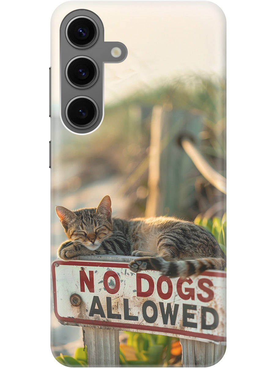 Силиконовый чехол на Samsung Galaxy S24 с принтом "Собакам вход запрещен!", Прозрачный;белый;зеленый, 779825711
Силиконовый чехол на Samsung Galaxy S24 с принтом "Собакам вход запрещен!", Прозрачный;белый;зеленый, 779825711