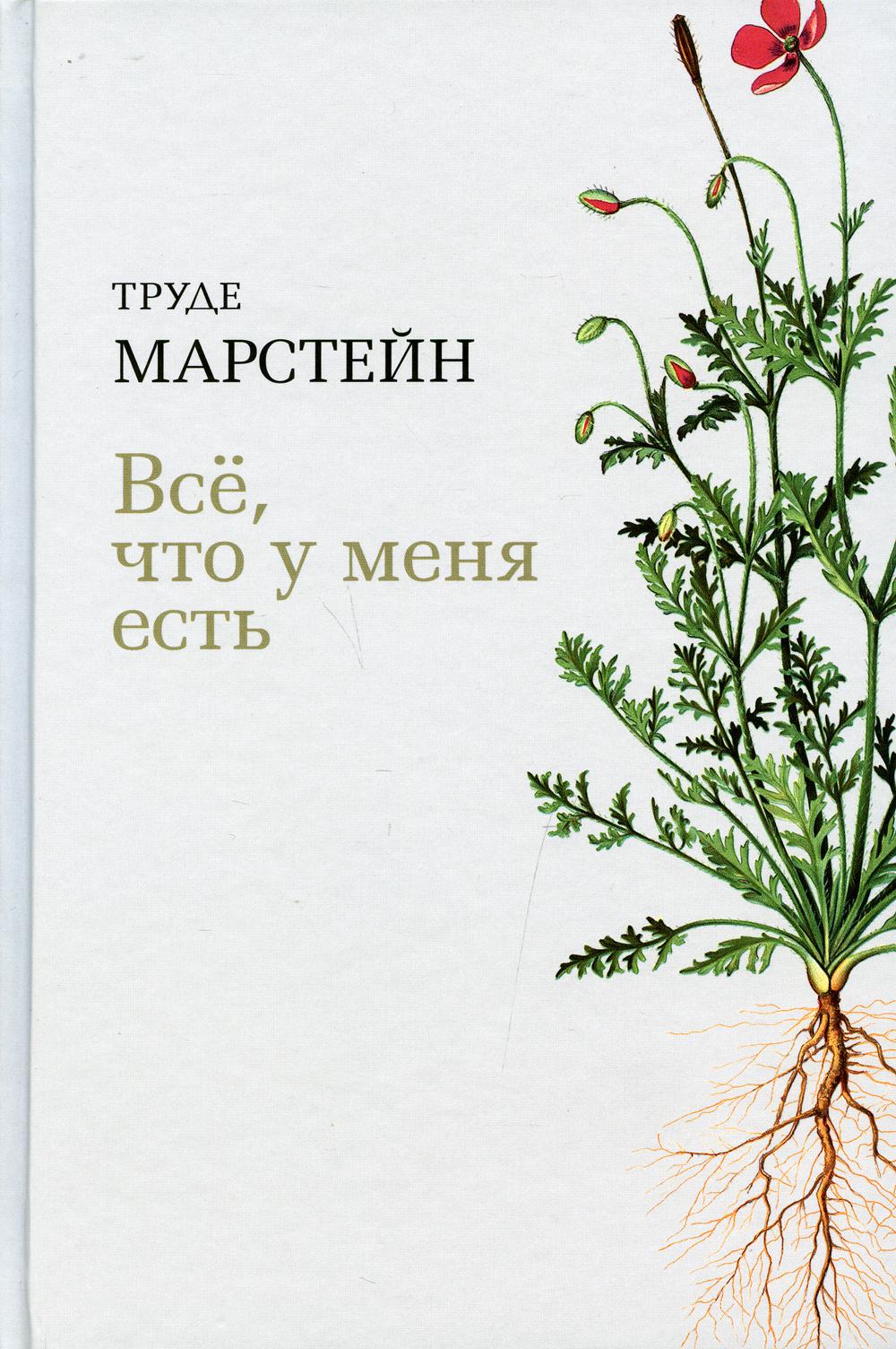 фото Книга все, что у меня есть: роман поляндрия noage