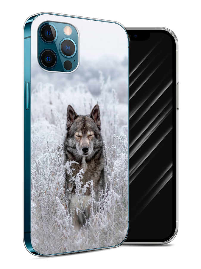 Чехол Awog на Apple iPhone 12 / Айфон 12 "Волк в поле", Разноцветный, 12550-1
Чехол Awog на Apple iPhone 12 / Айфон 12 "Волк в поле", Разноцветный, 12550-1