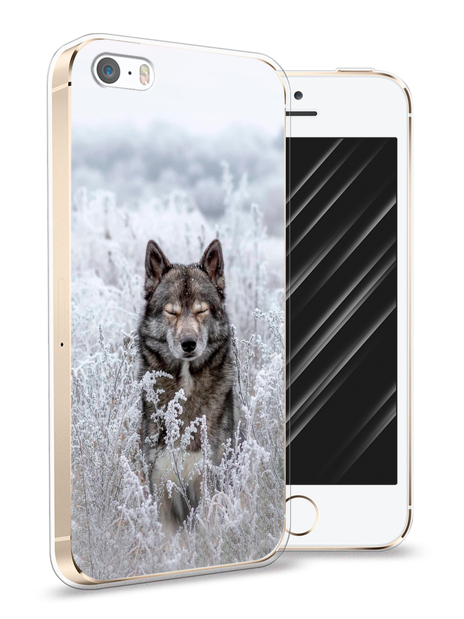 Чехол Awog на Apple iPhone 5/5S/SE / Айфон 5/5S/SE "Волк в поле", Разноцветный, 10350-1
Чехол Awog на Apple iPhone 5/5S/SE / Айфон 5/5S/SE "Волк в поле", Разноцветный, 10350-1